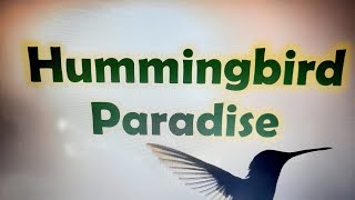 Hummingbird Paradise - Trailer #1