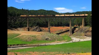 Shasta Lake Area: Lakehead, Salt Creek, Delta  June 5, 2015