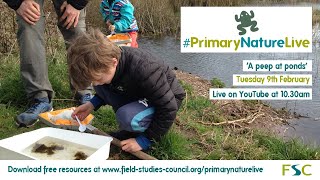 FSC | Primary Nature Live | A peep at ponds