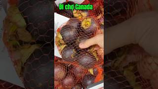 #shorts đi chợ ở Canada #tranpinnockfamily