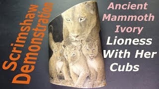 Scrimshaw Demonstration by Adams - Lioness With Her Cubs