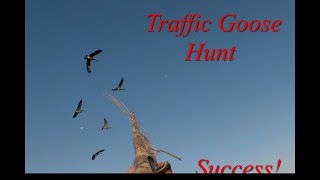 We Ran Traffic And It Worked/ NY goose hunt