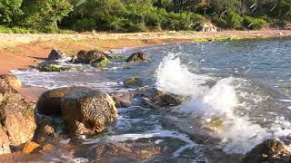 Virgin beach! Plaja virgina!