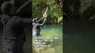 Man Saves Owl Caught on a Branch Over a Fast River!