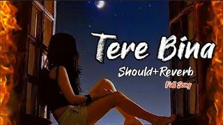 😥Tere Bina💔 [Slowed+Reverb] Himesh Reshammiya | Lofi Mix Song | hindi sad song | Lofi Song