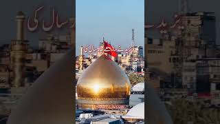  امام حسین علیہ السلام #imamehussain #muharramstatus #shorts #short_ #fyp #peerajmalrazaqadri #yt