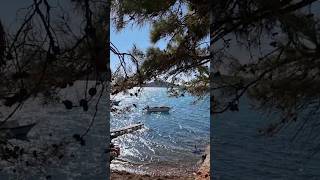 #travel #4k #summervibes #shortsvideo #shortvideo #holiday #ayvalik #izmir