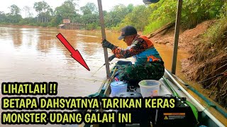 spot ini menggila !! lama tak di kunjungi udang galahnya pada kelaparan || lubuk udang galah