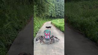 best 3d art painting on road prank 7 | 3d art zone #shorts