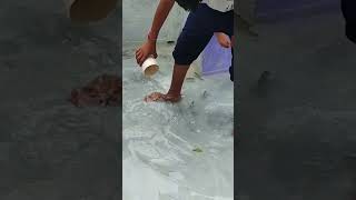 machhali jal ki rani #villagelife #fishing #kidsvideos