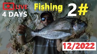 2# 4 dias LIVE Fishing, em busca da #dourada  #dorada  perdida #fishing  #pesca