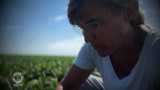 Crop Rotation & Patch Spraying for Pigweed Management with Farmer Tracy Zink