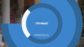 Курс обучения "Груминг (Грумер)"