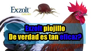 exzolt piojillo es tan eficaz? #acarorojo #piojillo