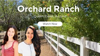 Luxury Neighborhood in Arizona- Orchard Ranch Community Tour