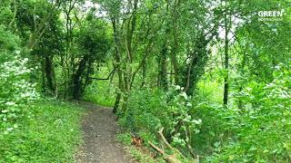 Colwick Woods Local Nature Reserve