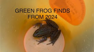 Green Frog finds from 2024