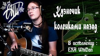 Кузнечик коленками назад (в исполнении ENA WhiDan) #песниподгитару #народныепесни #кузнечик