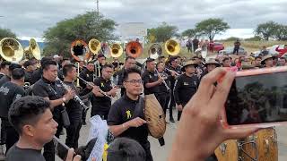 LOS CUCHES 🐗🐷 MISTRIOSA!!! || MUERTEADA 2023