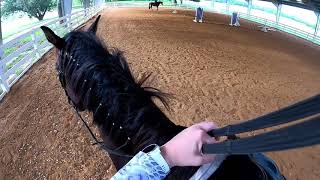 First attempt with helmetcam on horseback - GroPro footage