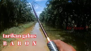 MANCING IKAN GABUS DI SPOT AIR BANJIR KEBUN KELAPA SAWIT