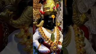 Pandharpur kartiki ekadashi short / short stetus video