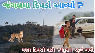 ઘણા દિવસો પછી viyan સ્કૂલે ગયો || શું જંગલ મા 🐆દિપડો આવ્યો || #familyvlog #vlogger #dailyvlogs