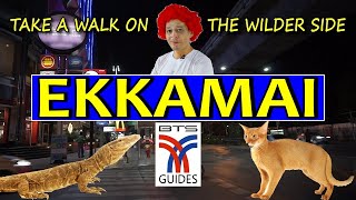 EKKAMAI. Bangkok. Take a walk on the wildside