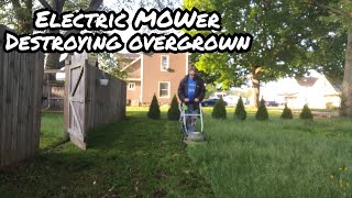 Defying Expectations: Electric Mower conquers Foot Tall Grass