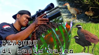 BERBURU AYAM HUTAN DI SPOT INI BANYAK BONUS-NYA || POIN 2 JAGO ++