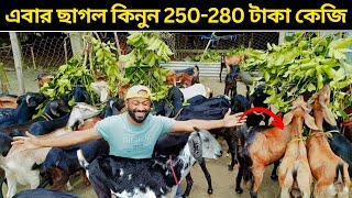 এবার ব্ল্যাক বেঙ্গল ছাগল কিনুন 250-280 টাকা কেজিতে। এত সস্তায় ছাগল বিক্রি করে কিভাবে?