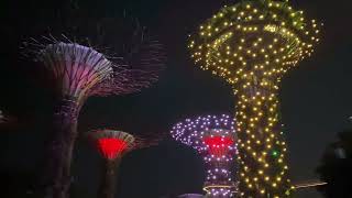 *Gardens by the Bay, Singapore at night