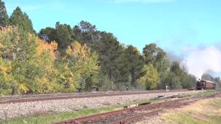 Australian Steam Trains: ARHS Canberra 3016 at Fyshwick