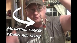 Mounting Your Turkey Beard and Spurs