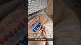 Dog food delivery #funnyinstagramvideo