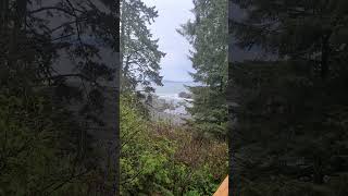 Down to the beach at Port Renfrew