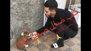 شاب أنقذ كلب ضال صغير من الموت وسط الطريق فأحضره لنا شاهد كيف قمنا بضيافته