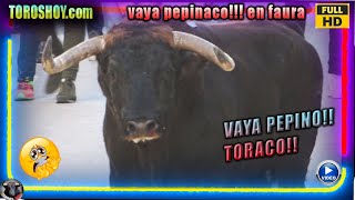 MADRE MIA QUE PEPINO DE TORO!!!! FLIPA QUE TORAZO !! EN FAURA NO TE LO PIERDAS TOROS TV 2021