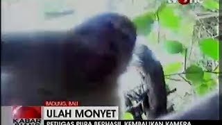 [NGakak!!] Monyet Bali Ini Juga Ingin Foto Selvie Setelah Nyolong Kamera Turis