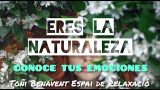 💚 Meditación para las EMOCIONES | Eres como la NATURALEZA 🌻