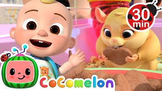 Sing A Long to the Class Pet Song | Cocomelon and Little Angel Nursery Rhymes