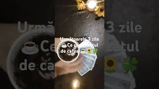 Ce spune zațul de cafea pentru următoarele trei zile ☕🌻🍀