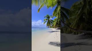 INSANELY Beautiful beach in the #seychelles 🤩⛱️#luxurytravel #shorts