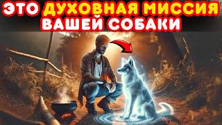 Духовная миссия собак | Вот почему они пришли в вашу жизнь