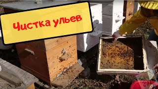 Первые весенние работы. Чистка ульев. Сокращение рамок.