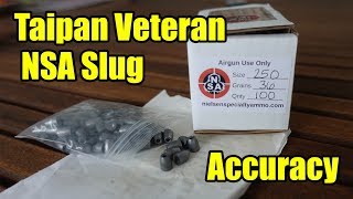 Taipan Veteran .25 Slug Accuracy Test | Review | Orion the Iguana Hunter