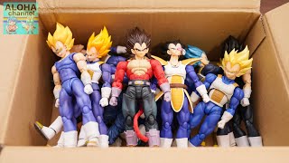 DRAGON BALL S.H.FIGUARTS VEGETA ALL FIGURES AND ETC