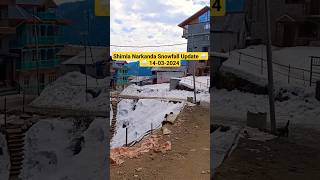 Shimla Narkanda Snowfall Update 14-03-2024#shimlaweather  #update#snowfallupdate #shimla#snowfall