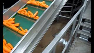 Морковная линия Haith Carrot Processing 2