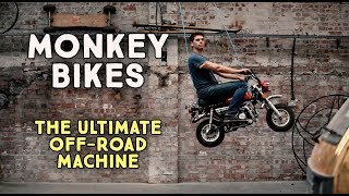 Monkey Bikes -  The ultimate adventure machine